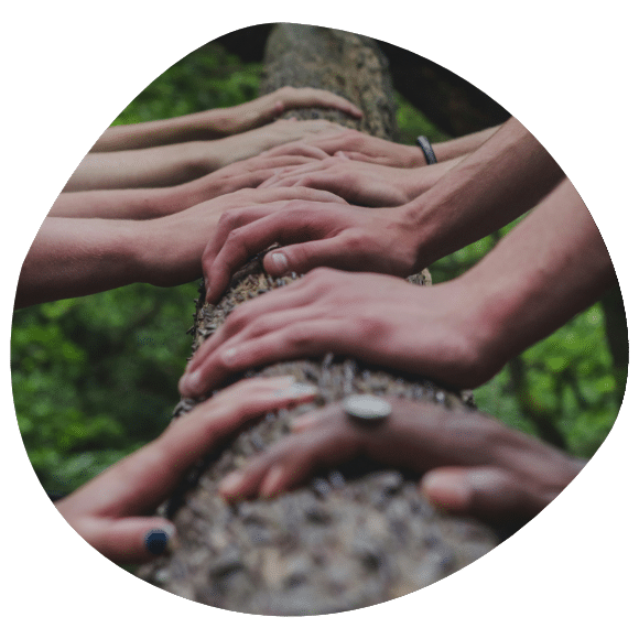 Personnes posant les mains ensemble sur un tronc d'arbre - ateliers communication non violente à Toulon et Hyères
